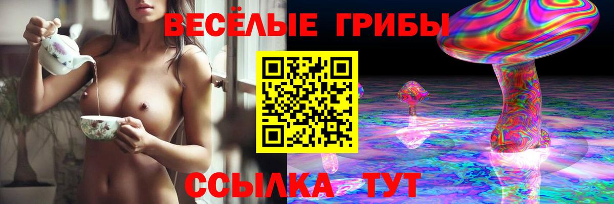 Галлюциногенные грибы Psilocybe Котлас